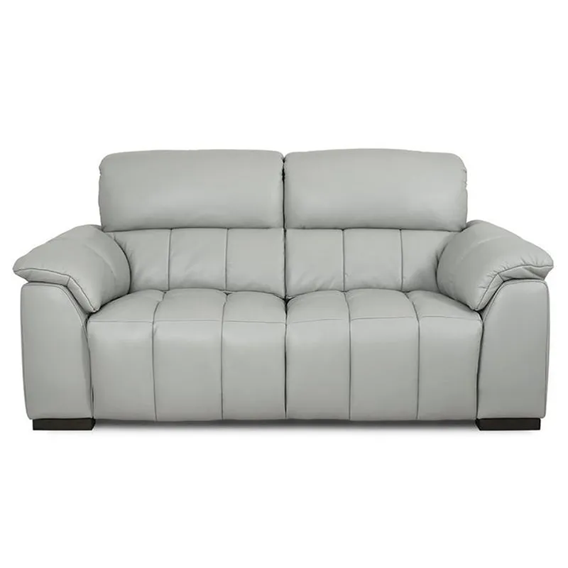 Casanoy 2 Seater Leather Sofa for Living Room