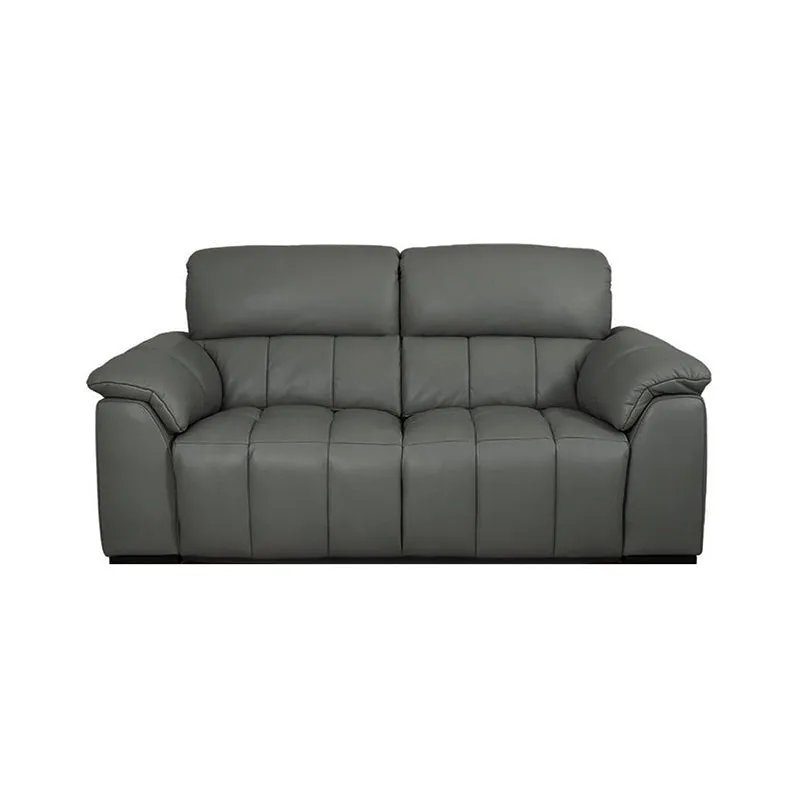 Casanoy 2 Seater Leather Sofa for Living Room
