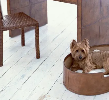 Havana Dog Bed