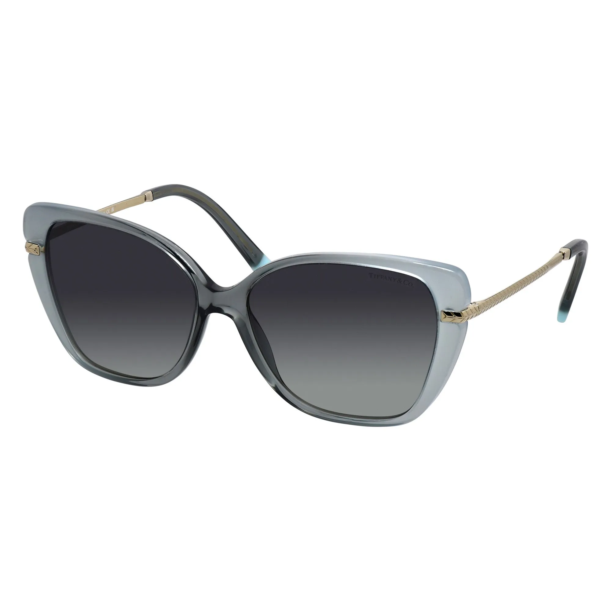 Tiffany & Co. Womens Green Sunglasses TF_4190_834611_57mm